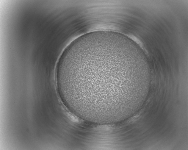 X0000070881078200606302131