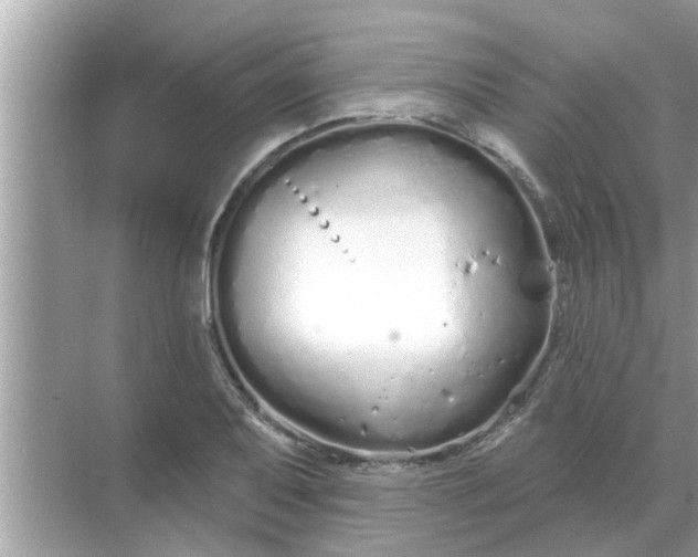 X0000070881079200606302131