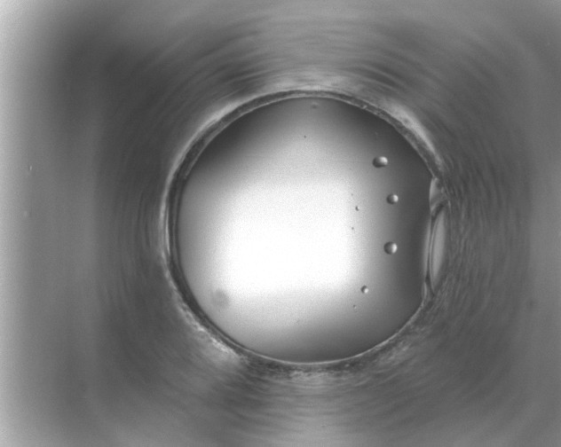 X0000070881080200606302131