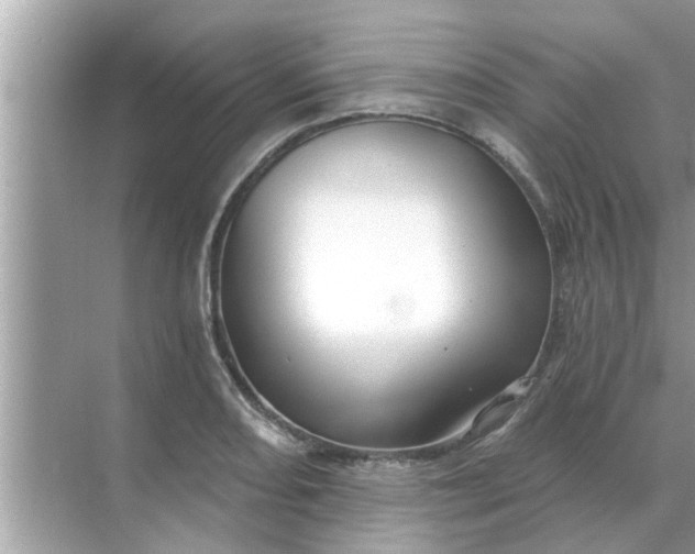 X0000070881082200606302131