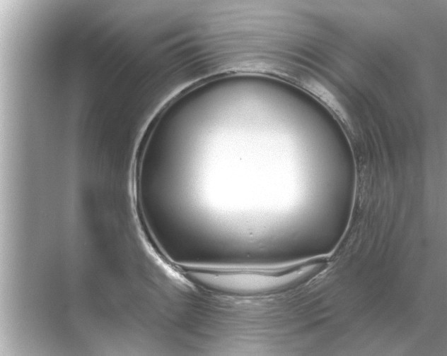 X0000070881084200606302131