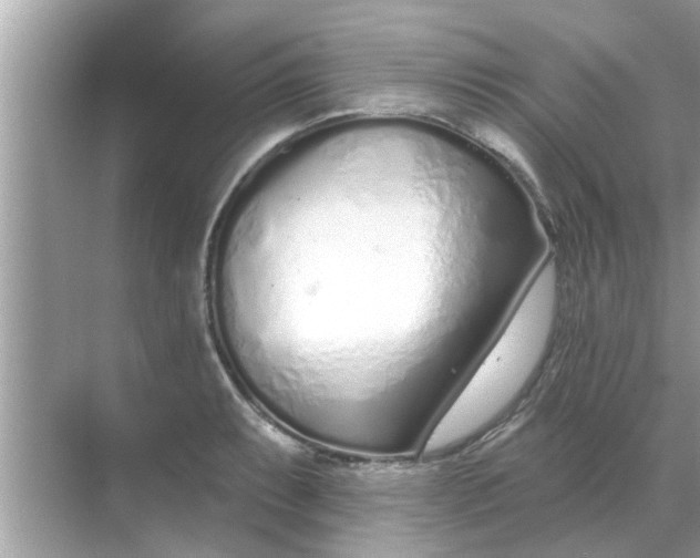 X0000070881087200606302131