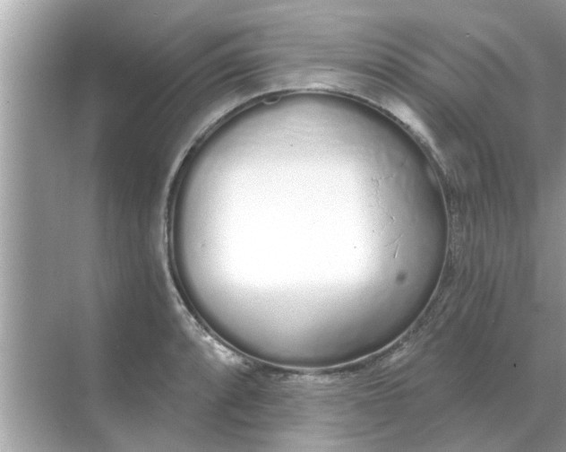 X0000070881088200606302131