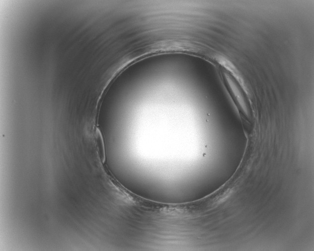 X0000070881089200606302131