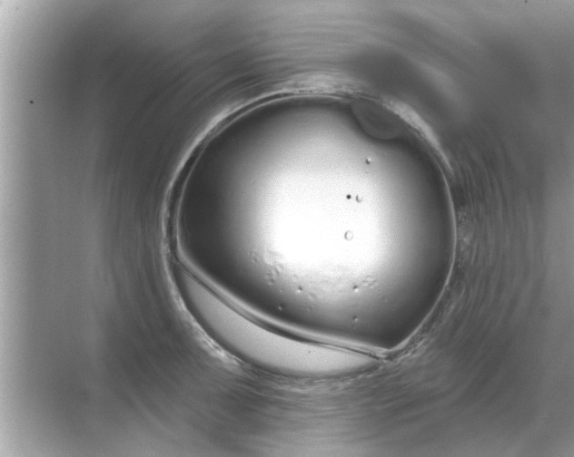 X0000070881091200606302131