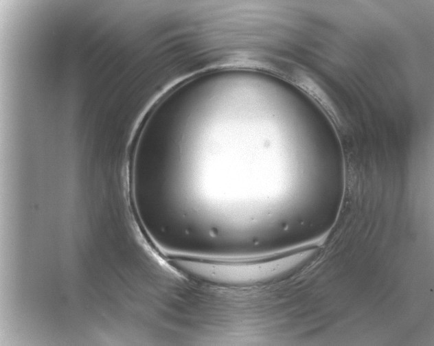 X0000070881092200606302131