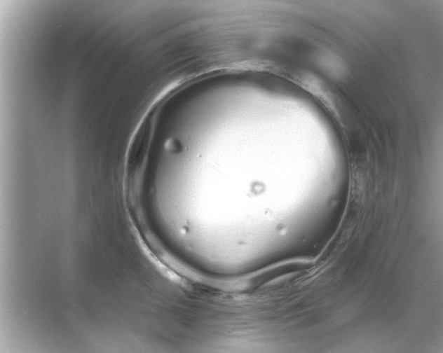 X0000070881095200606302131