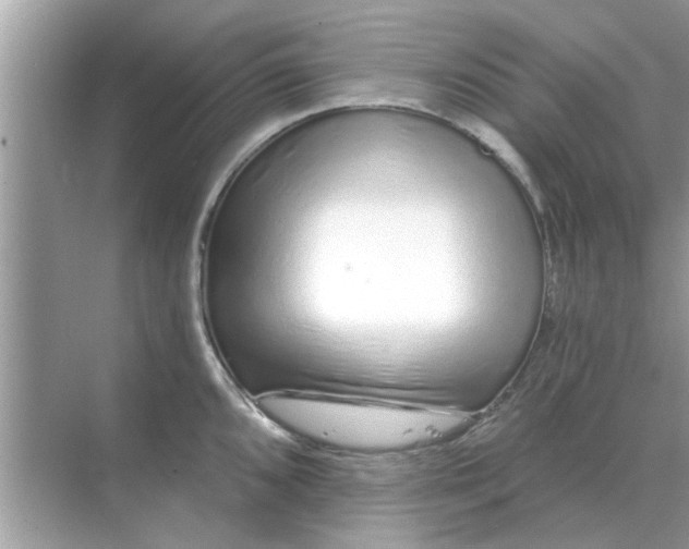 X0000070881096200606302131