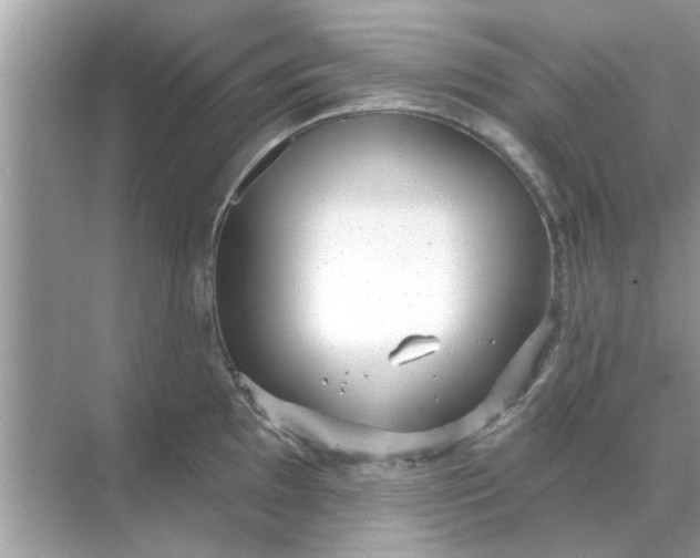 X0000070881097200606302131