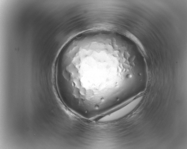 X0000070881099200606302131