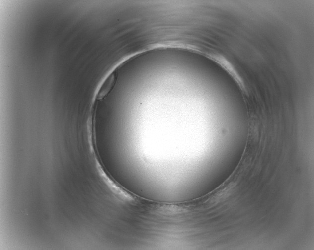 X0000070881100200606302131