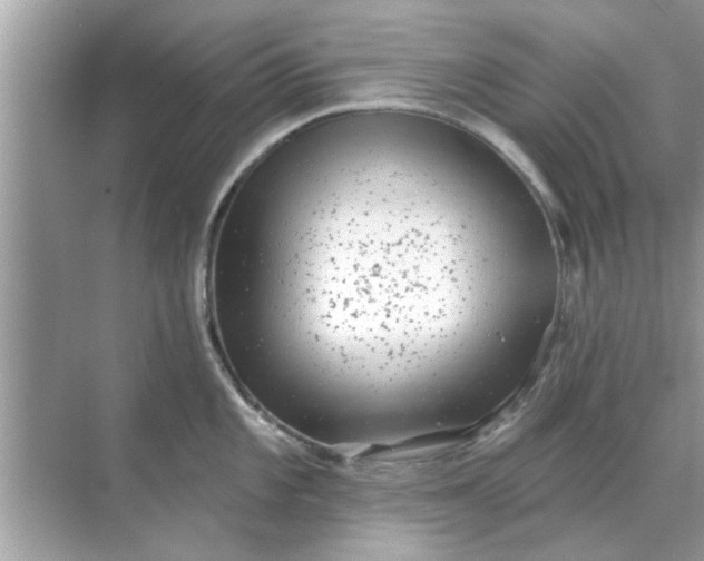 X0000070881101200606302131