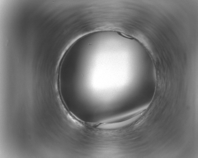 X0000070881102200606302131