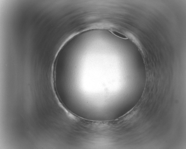 X0000070881103200606302131