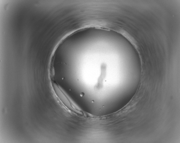 X0000070881104200606302131