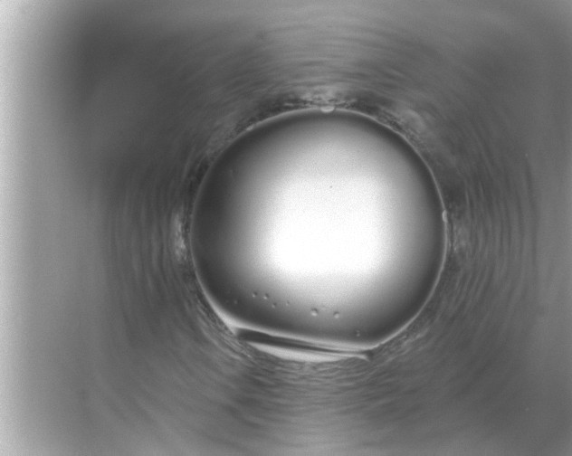 X0000070881106200606302130