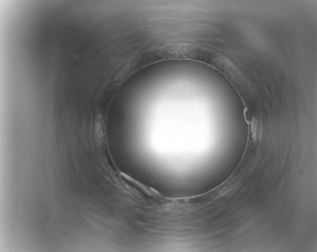 X0000070881107200606302130