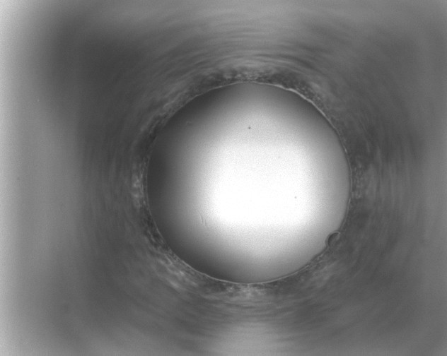 X0000070881109200606302130