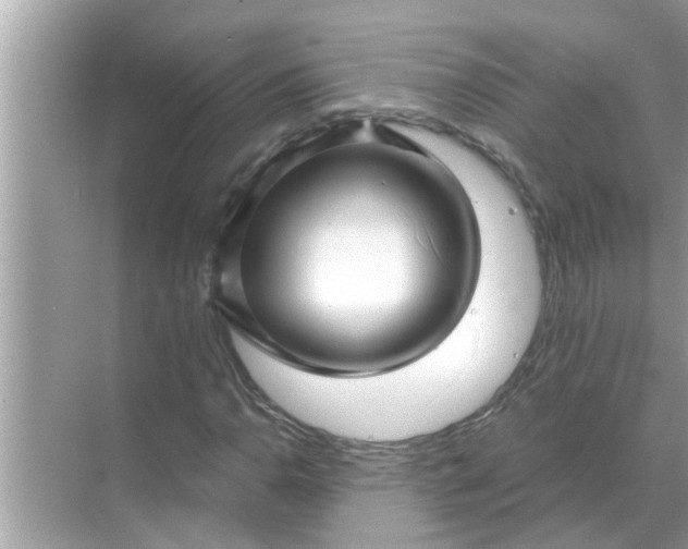 X0000070881110200606302130