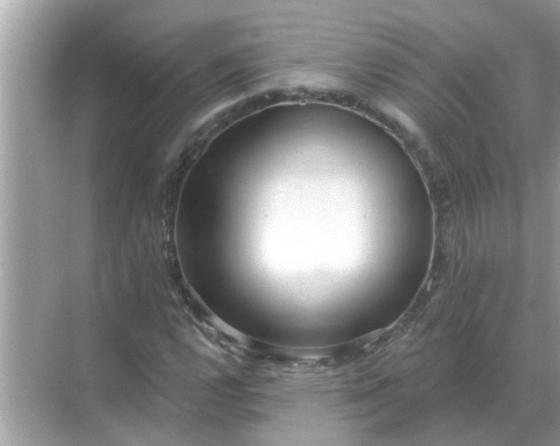 X0000070881112200606302130