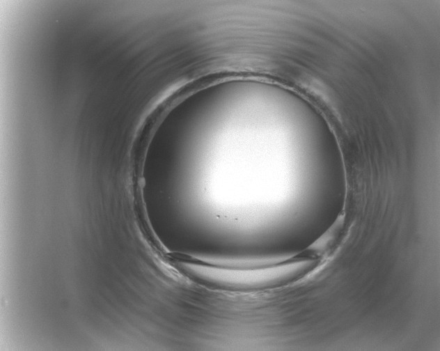 X0000070881114200606302130