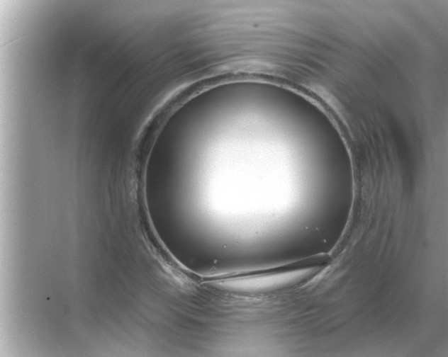 X0000070881115200606302130