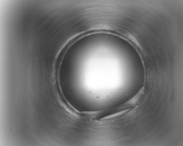 X0000070881116200606302130