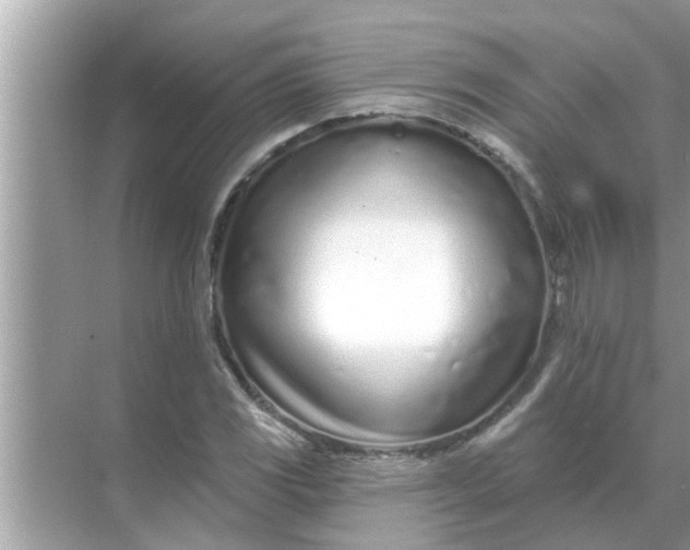 X0000070881117200606302130