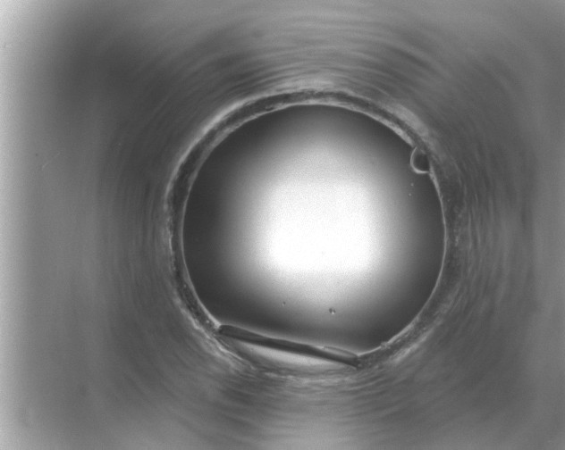 X0000070881118200606302130