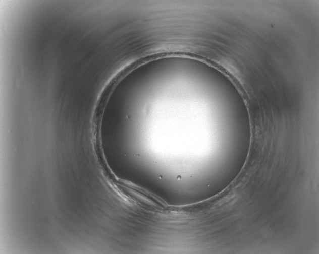 X0000070881119200606302130