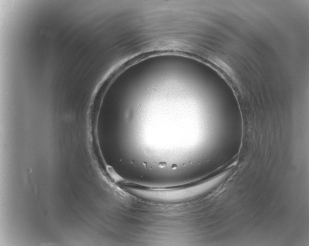 X0000070881120200606302130