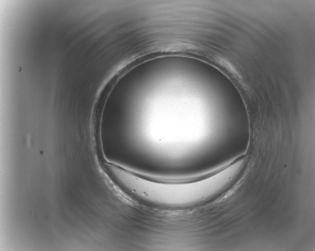 X0000070881122200606302130