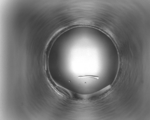 X0000070881123200606302130