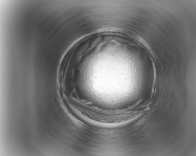 X0000070881124200606302130