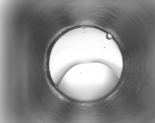 X0000070881126200606302130