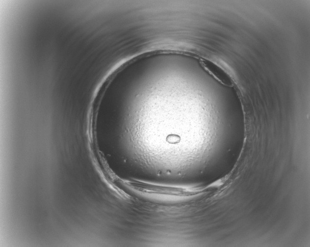 X0000070881128200606302130