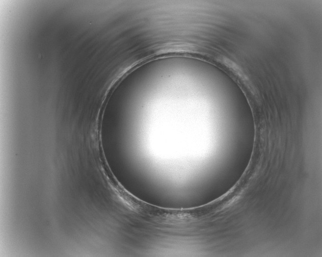 X0000070881129200606302130