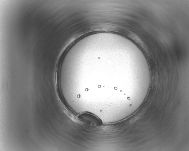 X0000070881130200606302130