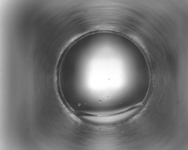 X0000070881133200606302131