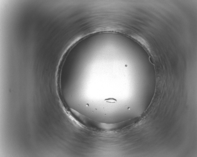 X0000070881135200606302131