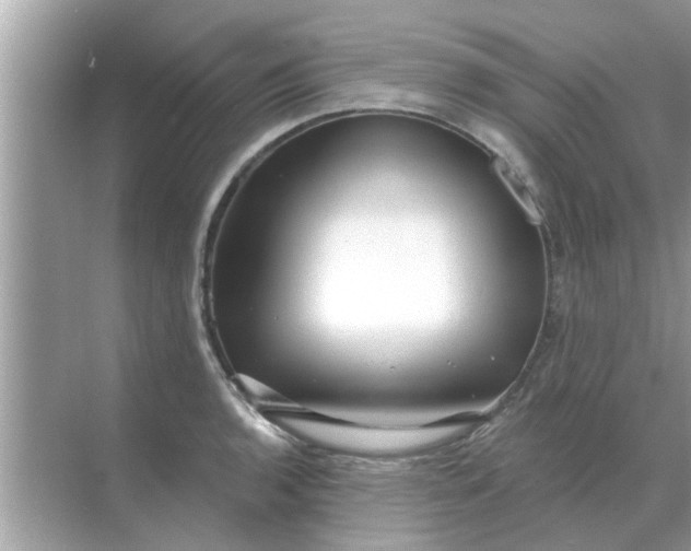 X0000070881136200606302131