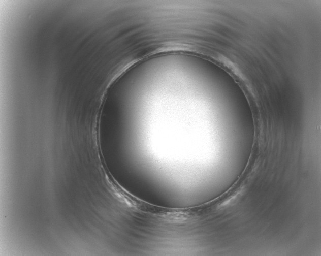 X0000070881137200606302131