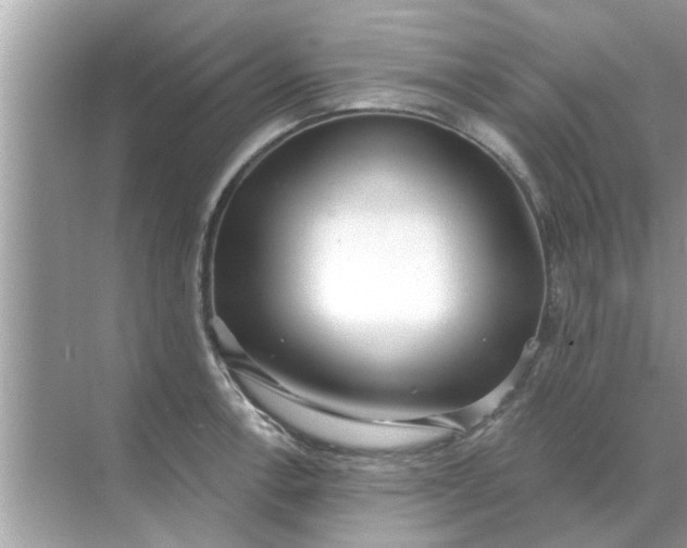 X0000070881138200606302131