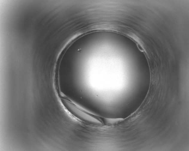 X0000070881139200606302131