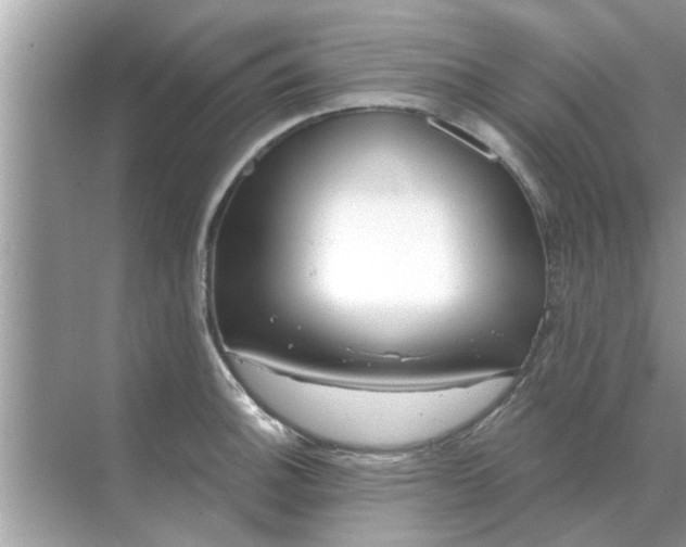 X0000070881140200606302131