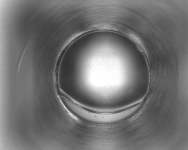 X0000070881141200606302131