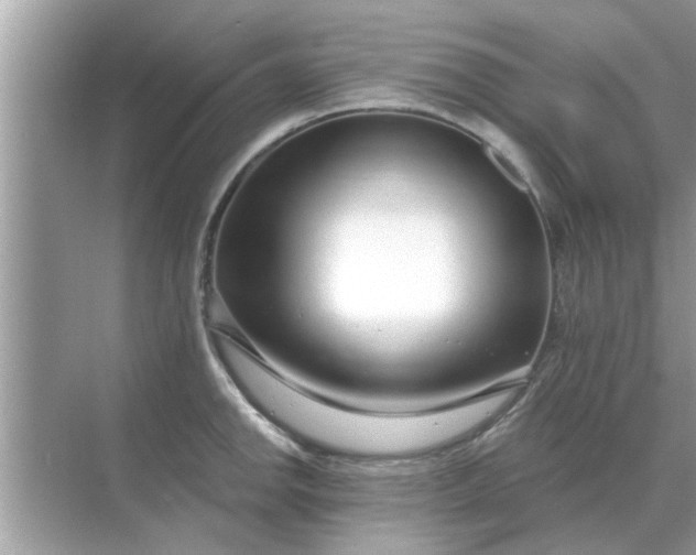 X0000070881142200606302131