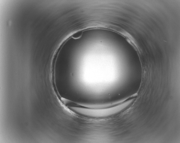 X0000070881143200606302131