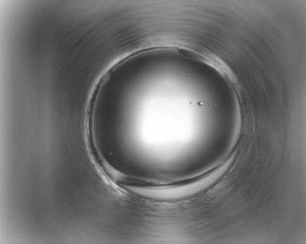 X0000070881144200606302131