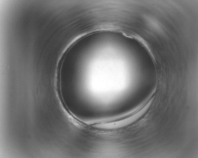 X0000070881147200606302131